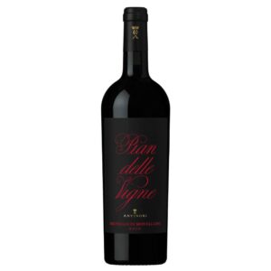 pian delle vigne brunello di montalcino